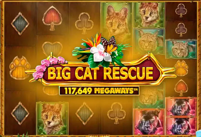 Roobetcasinodownload Store interface with popular casino games and slots